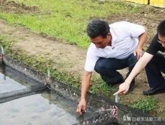 图片[11]-现在什么养殖业最赚钱-收益高，销路不愁的养殖项目有哪些？这里有答案-优创圈