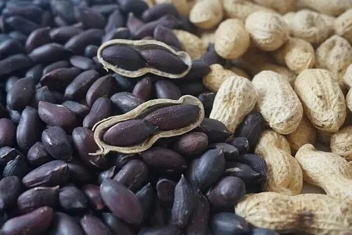 种植什么农作物赚钱_现在农作物种什么挣钱_农作物种植什么利润大