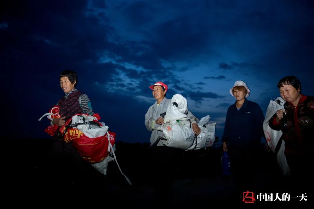 新疆干什么赚钱_新疆赚钱的行业_新疆干啥赚钱