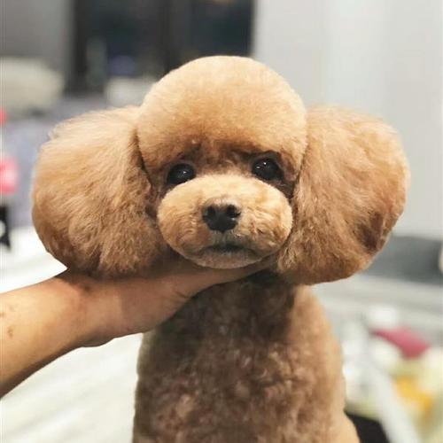 做生意的女性_生意赚钱女性做什么_女性做什么生意赚钱