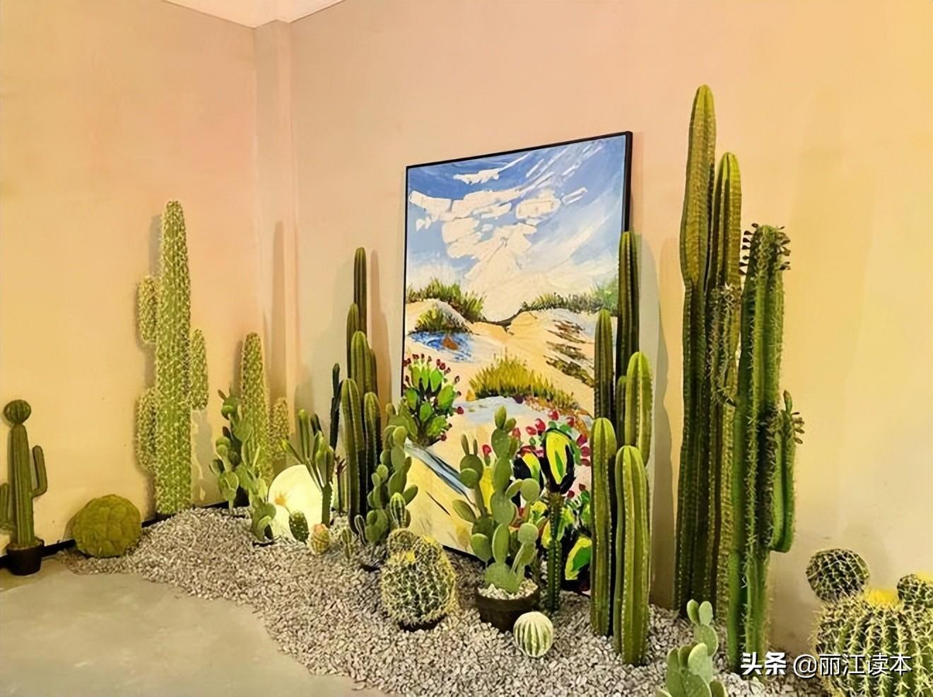 丽江赚钱点子_丽江做什么赚钱_丽江挣钱