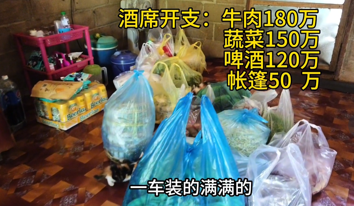 老挝生意好不好做_老挝什么生意好赚钱_老挝生意赚钱好做吗