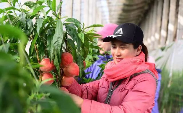 图片[4]-现在种地种什么赚钱-农民不是种地不赚钱，要种就种这几种，不受影响收入稳定！-优创圈