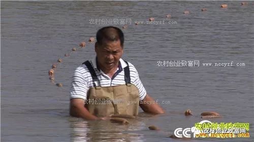 能赚钱养家_现在养啥挣钱快投资少_现在养什么赚钱快