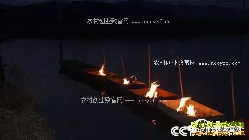 现在养什么赚钱快_现在养啥挣钱快投资少_能赚钱养家
