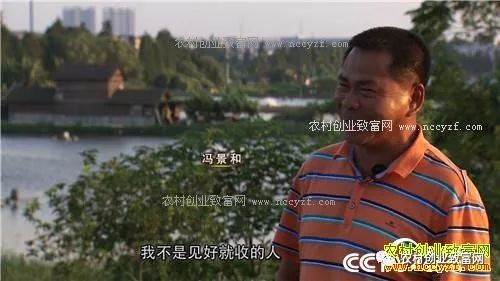 能赚钱养家_现在养什么赚钱快_现在养啥挣钱快投资少