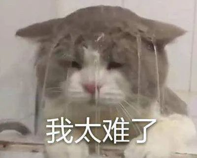郭敬明赚钱_郭敬明亏钱_郭敬明靠什么赚钱