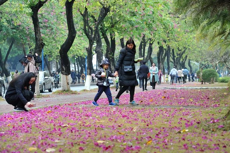 大学专业赚钱排名_大学读什么专业最赚钱_挣大钱的专业