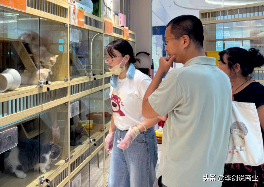 0投资的赚钱项目_投资什么项目赚钱快_赚钱投资项目有哪些