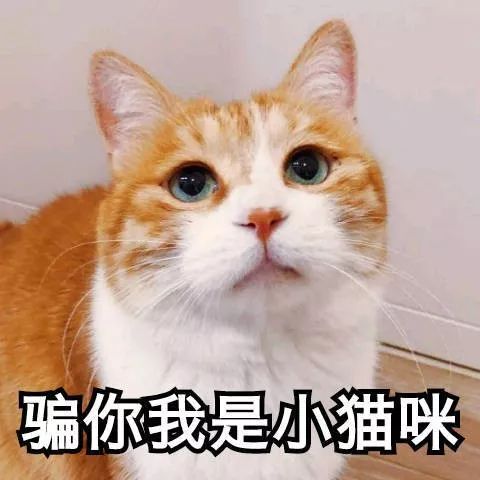 什么金融软件能赚钱_能赚钱金融软件有哪些_赚钱的金融软件