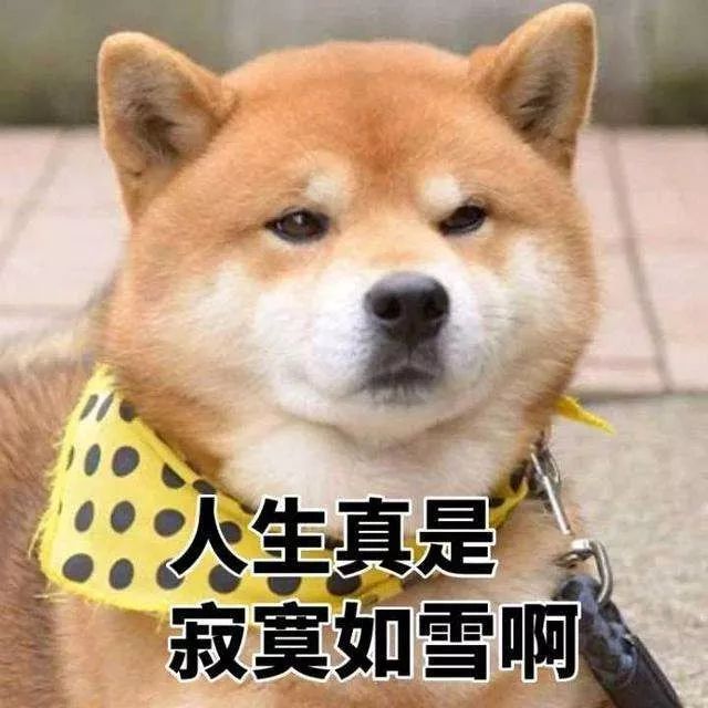 什么金融软件能赚钱_赚钱的金融软件_能赚钱金融软件有哪些