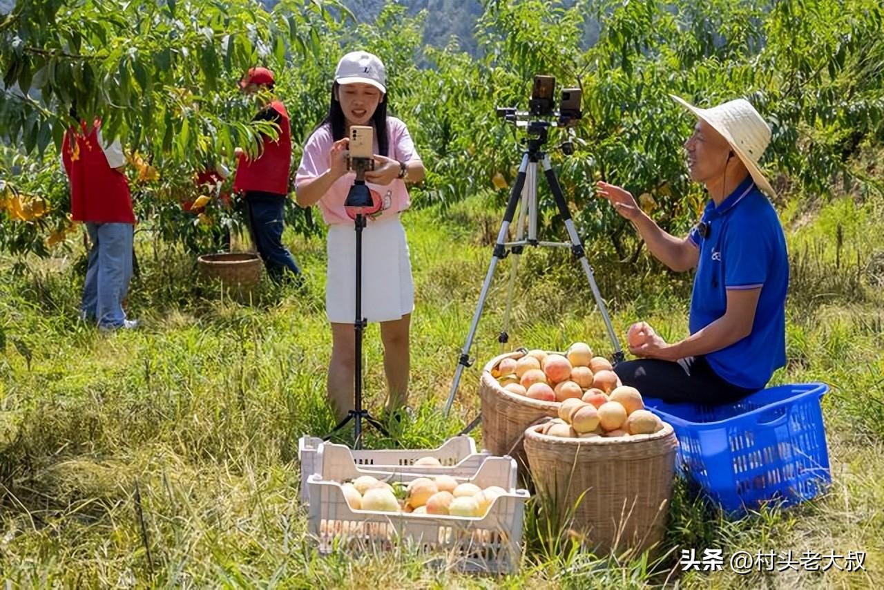家在农村做点什么赚钱_农村家里做什么赚钱_农村的赚钱项目