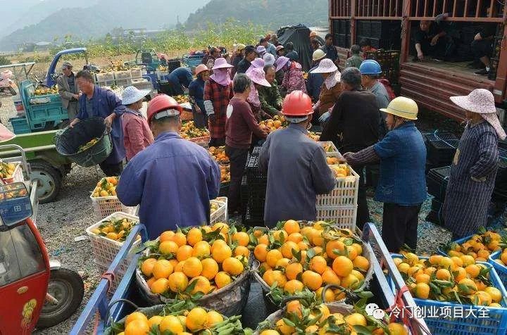 现在做什么加工生意赚钱_想做个加工生意_生意赚钱加工做现在怎么做