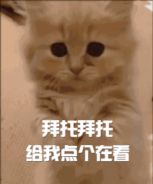 女生卖什么小东西赚钱_赚钱卖女生东西小说叫什么_赚钱卖女生东西小说