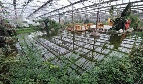 农业养殖什么项目好_农业养什么赚钱_2018农业养殖赚钱项目