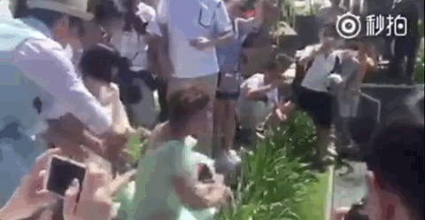 言承旭很穷_言承旭靠什么赚钱_言承旭收入