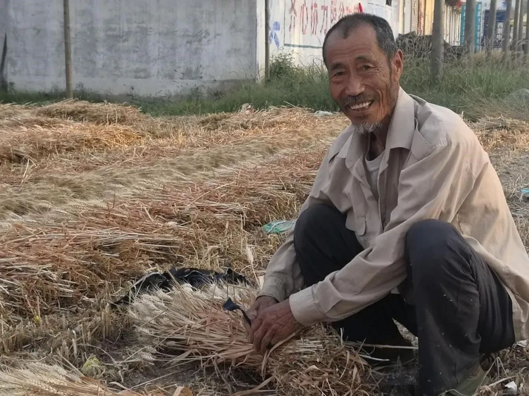 鹿邑做什么生意赚钱_河南鹿邑什么最赚钱_鹿邑有钱人