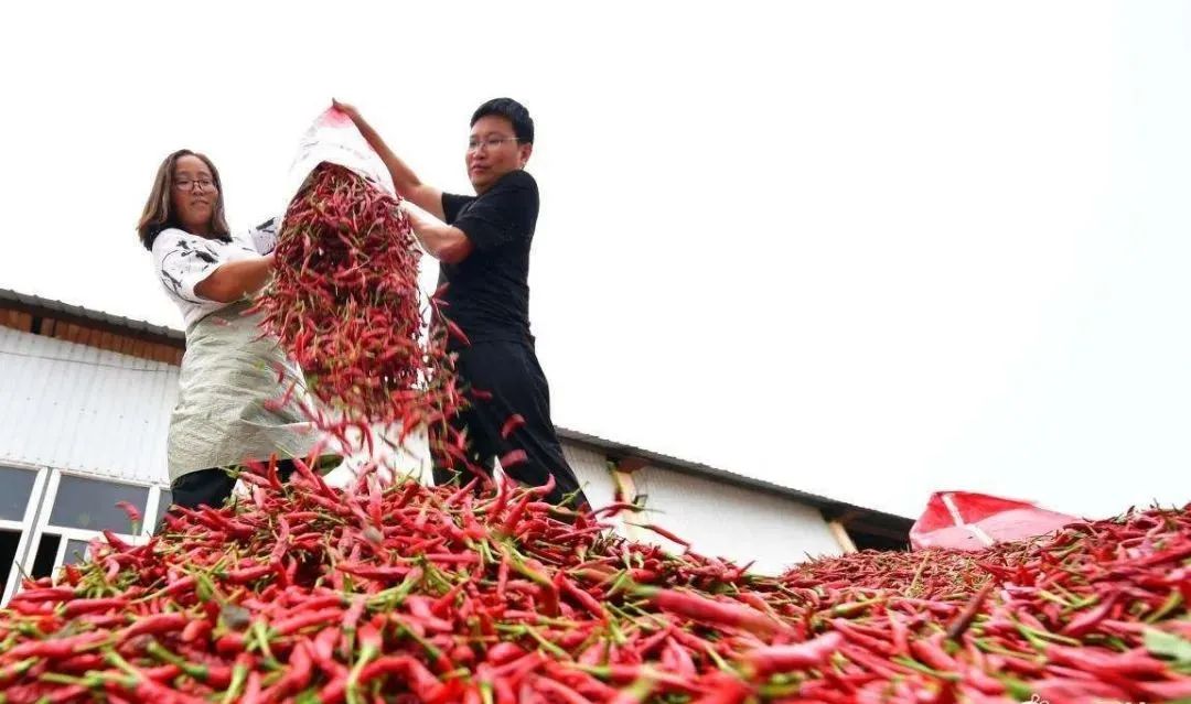 现在加工什么最赚钱_赚钱加工现在好做吗_赚钱的加工项目