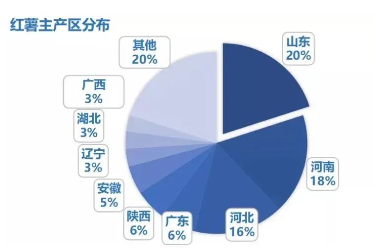 河北种植什么最赚钱-2022年红薯种植赚钱吗？2022年红薯种植成本及效益分析-优创圈