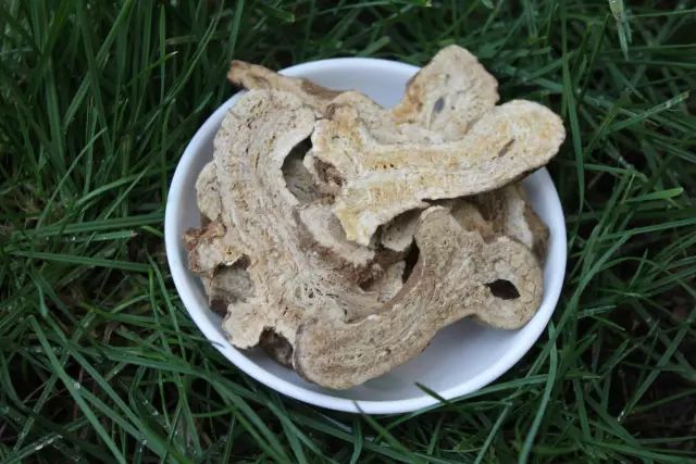 图片[18]-河北种植什么最赚钱-【药都资讯】目前种植这些药材前景最好！最赚钱！-优创圈
