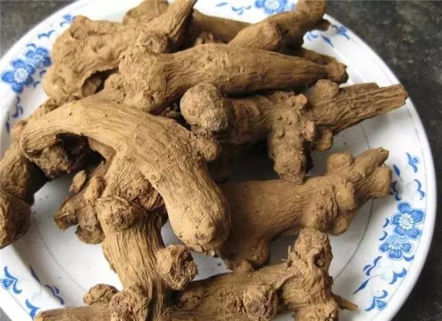 图片[10]-河北种植什么最赚钱-【药都资讯】目前种植这些药材前景最好！最赚钱！-优创圈