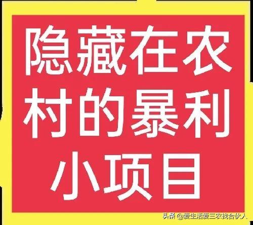 在家养什么最赚钱-六大隐藏在农村的暴利小项目，只要愿意干，基本都能发家致富-优创圈