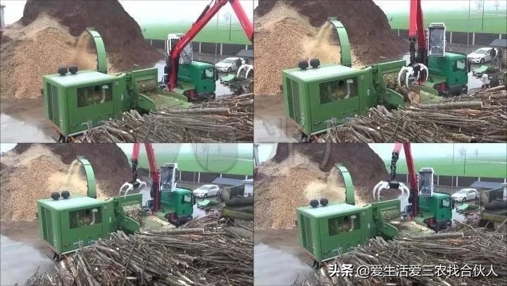 在家养什么能赚钱把稳_在家养什么最赚钱_在家赚钱养活自己