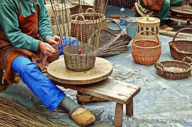 在家赚钱养活自己_在家养什么能赚钱把稳_在家养什么最赚钱