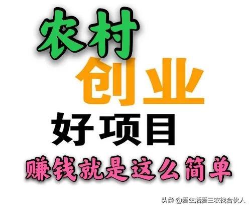 在家养什么能赚钱把稳_在家赚钱养活自己_在家养什么最赚钱
