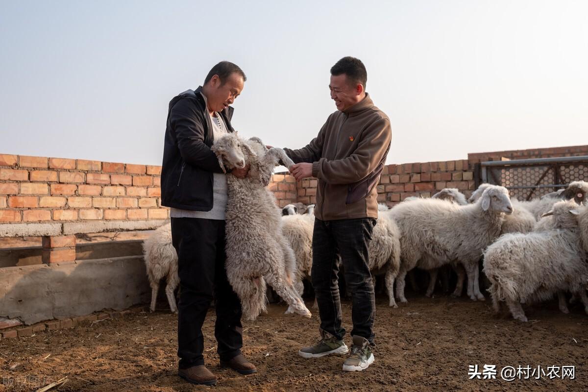 什么项目能快速赚钱-在农村创业，干什么有前景、能快速致富？这6个项目简单又赚钱-优创圈