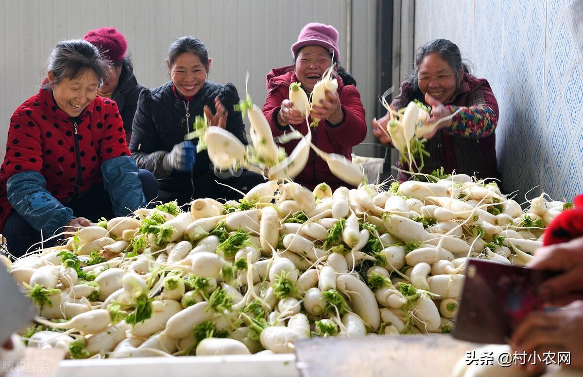 能赚钱快速项目的软件_赚快钱的项目_什么项目能快速赚钱