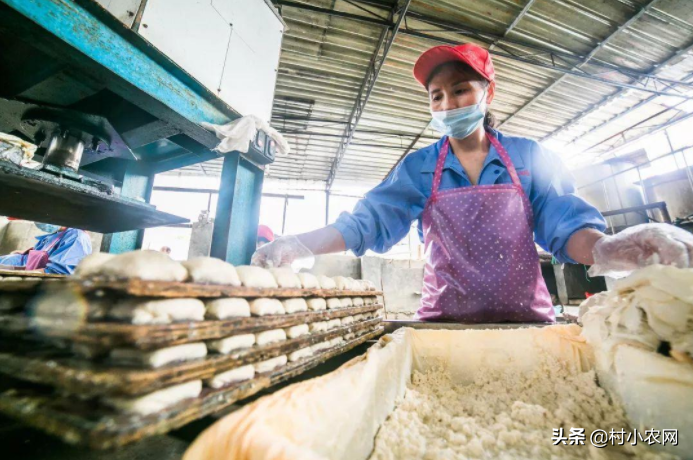 赚快钱的项目_什么项目能快速赚钱_能赚钱快速项目的软件