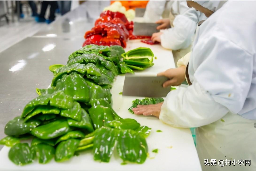 能赚钱快速项目的软件_什么项目能快速赚钱_赚快钱的项目