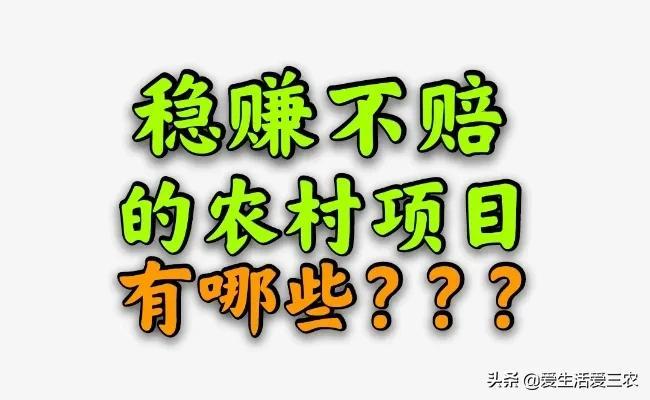 农民养殖什么最赚钱_养殖农民赚钱多吗_养殖农民赚钱吗