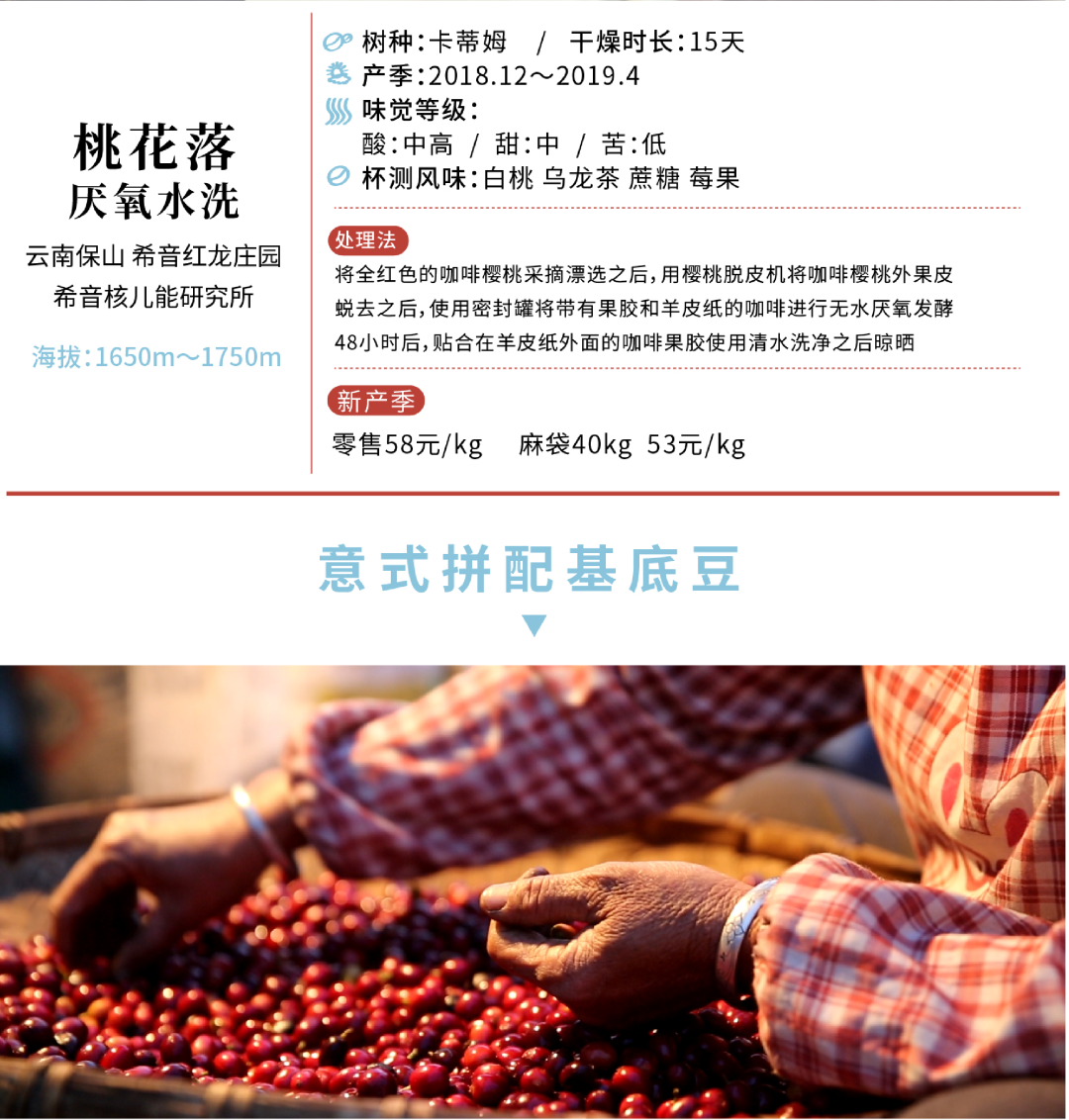 云南赚钱点子_在云南做什么最赚钱_云南有什么赚钱的路子
