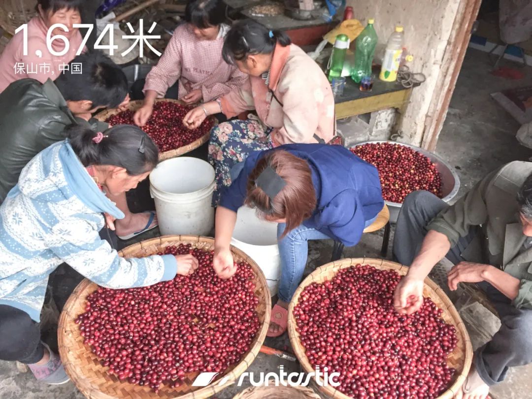 云南有什么赚钱的路子_在云南做什么最赚钱_云南赚钱点子