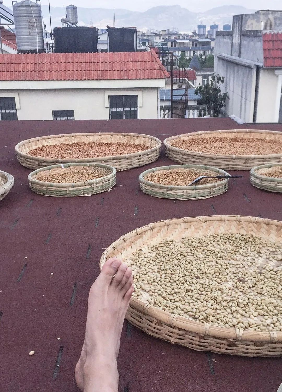 在云南做什么最赚钱_云南有什么赚钱的路子_云南赚钱点子