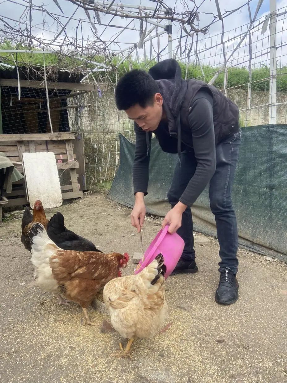 图片[12]-意大利打工什么最赚钱-我，意大利打工20年，回家5次，妻子熬不住，和我离婚-优创圈