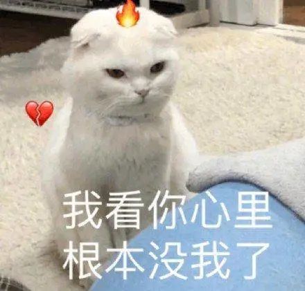 现在女生学什么最赚钱_女孩赚钱的门路_女生想赚钱学什么专业