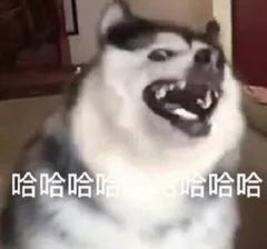 女生想赚钱学什么专业_现在女生学什么最赚钱_女孩赚钱的门路