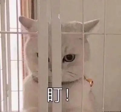 女孩赚钱的门路_女生想赚钱学什么专业_现在女生学什么最赚钱