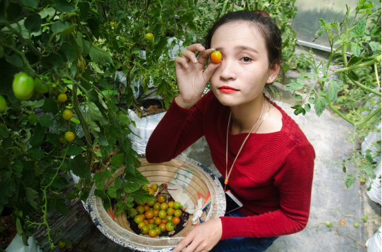 乡镇做什么生意好赚钱-在乡镇生活，到底能靠什么赚钱？采访了300个镇有了答案-优创圈
