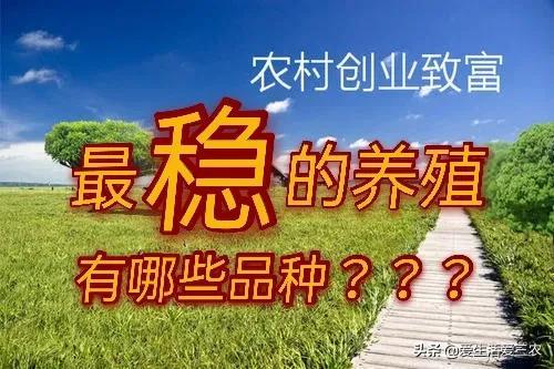 做什么养殖业赚钱_养殖业赚钱做什么好_养殖业赚钱做什么