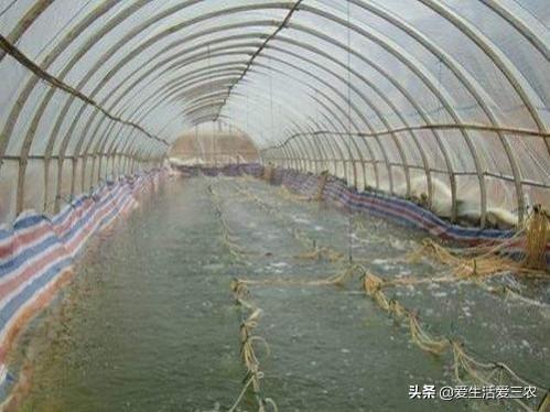养殖业赚钱做什么好_做什么养殖业赚钱_养殖业赚钱做什么