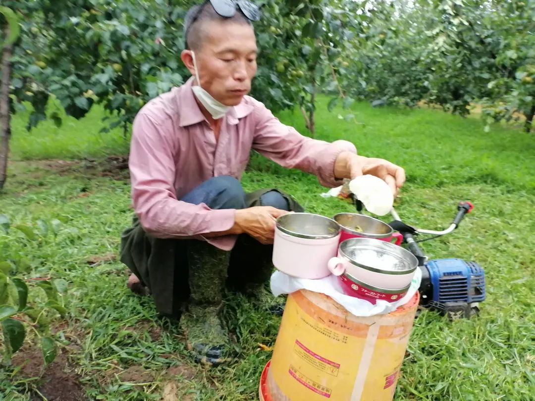 河南种果树有补贴吗_种果树赚钱金_河南种什么果树最赚钱