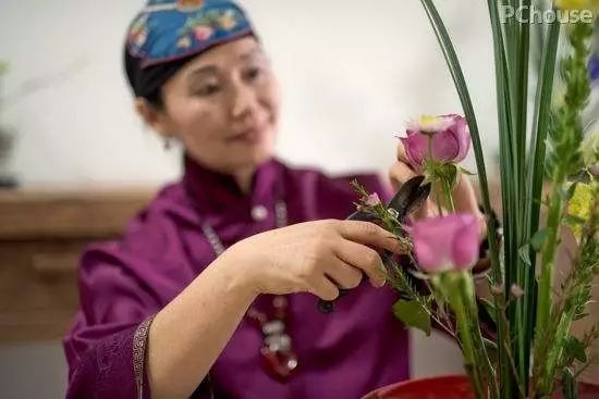 学什么技术最赚钱女生_学什么技术赚钱女生_赚钱女生学技术怎么样