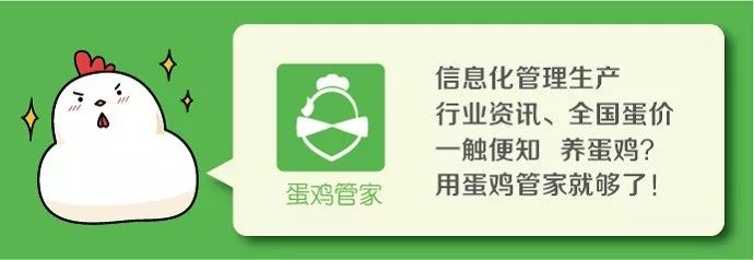 图片[3]-现在养鸡为什么不赚钱-思路 | 养鸡到底赚不赚钱，2018年完美解答！-优创圈