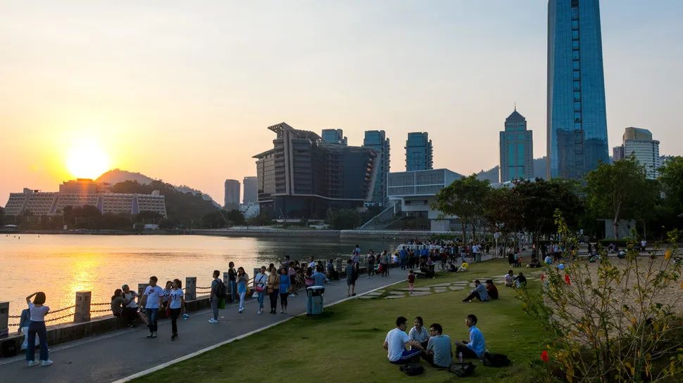 深圳赚钱机会_深圳干什么最赚钱_深圳赚钱很容易吗