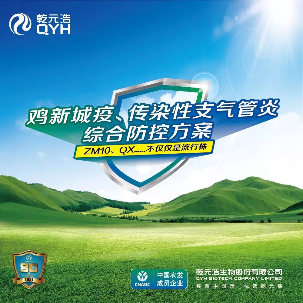 现在养鸡为什么不赚钱-总结丨养鸡赚不赚钱，关键在于心态！-优创圈