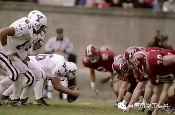 什么体育项目最赚钱_赚钱的体育项目_赚钱体育项目有哪些